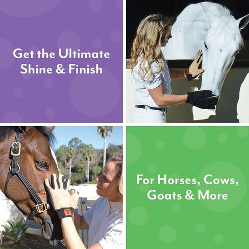 HandsOn Finishing Gloves - Pony & Horse Grooming Mits - Equestrian Horse Brush for Shining & Shedding Coat Care (Small/Medium, Pack of 1 Pair) in Kuwait