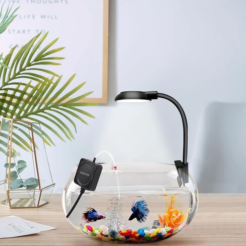 DEGGOX Mini Aquarium Air Pump for 1-15 Gallon Fish Tank 1 Watt Oxygen Small Aerator for Fish Tank Bubbler with Air Stones Silicone Tube Check Valves in Kuwait