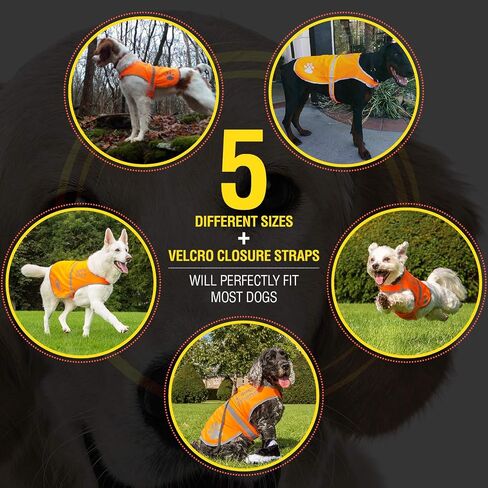 Upgraded Reflective Dog Vest. Hi-Visibility, Fluorescent Blaze Orange Dog Vest Helps Protect Your Best Friend. Safeguard Your PUP from Motorists & Hunting Accidents, On or Off Leash by 4LegsFriend in Saudi Arabia