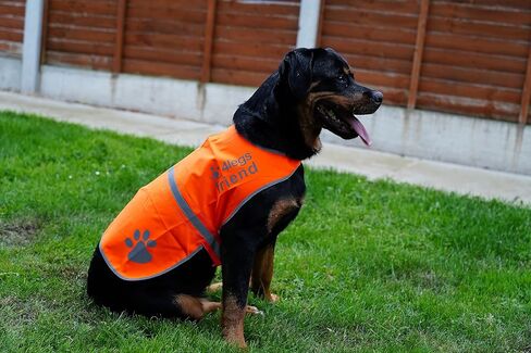 Upgraded Reflective Dog Vest. Hi-Visibility, Fluorescent Blaze Orange Dog Vest Helps Protect Your Best Friend. Safeguard Your PUP from Motorists & Hunting Accidents, On or Off Leash by 4LegsFriend in Saudi Arabia