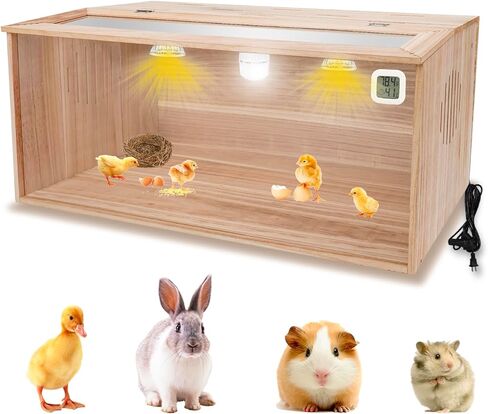 صندوق حضانة CAWUWE لفراخ الحيوانات الصغيرة يستوعب ما يصل إلى 30 كتكوت مع مجموعة لمبة ومقياس حرارة 32 × 16 × 16 بوصة قفص خشبي للبط والسمان والببغاء والأرنب والهامستر والسحلية in Kuwait