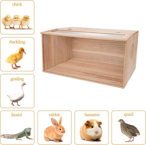 صندوق حضانة CAWUWE لفراخ الحيوانات الصغيرة يستوعب ما يصل إلى 30 كتكوت مع مجموعة لمبة ومقياس حرارة 32 × 16 × 16 بوصة قفص خشبي للبط والسمان والببغاء والأرنب والهامستر والسحلية in Kuwait