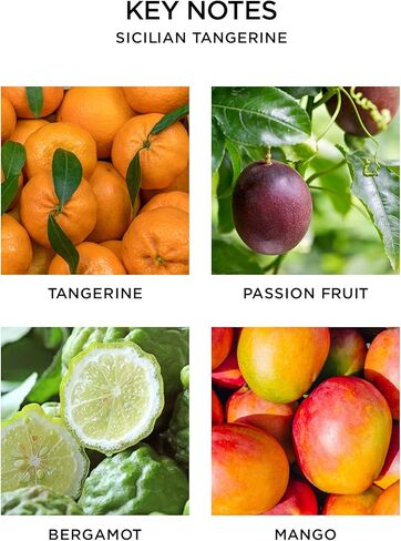 مجموعة ثنائية لتوزيع الروائح العطرية من NEST Fragrances Linen Reed، 5.9 أونصة سائلة، عدد 2 in Kuwait