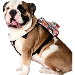 PawLook Design Dog Backpack Harness with Leash-Stylish Dogbagpack-Poop Bag Dispenser Dog Backpack-Dog Self Carrier Backpack-Dog Bag Vest with D-Ring-Backpack for Dogs to Wear-1 Piece (Cute, S) in Kuwait