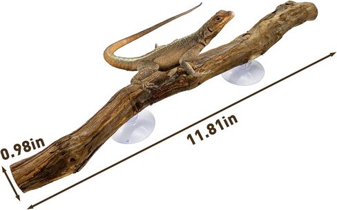 Reptile Decor Natural Forest Branch Terrarium Climb Corner Tree Branch Background Decoration Plant Decoration with Suction Cup for Snake Lizard and Leopard Gecko in Kuwait