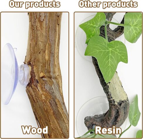 Reptile Decor Natural Forest Branch Terrarium Climb Corner Tree Branch Background Decoration Plant Decoration with Suction Cup for Snake Lizard and Leopard Gecko in Kuwait