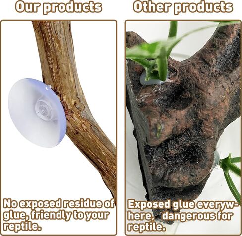 Reptile Decor Natural Forest Branch Terrarium Climb Corner Tree Branch Background Decoration Plant Decoration with Suction Cup for Snake Lizard and Leopard Gecko in Kuwait