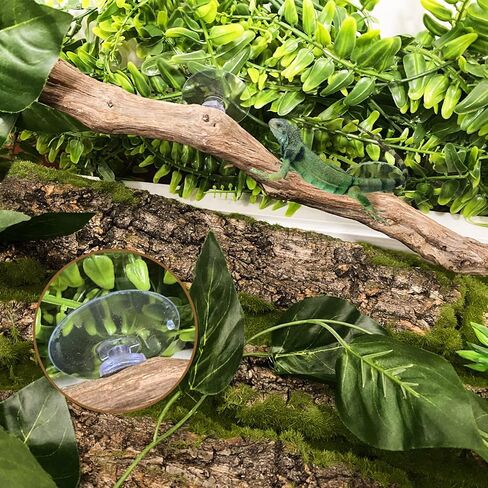 Reptile Decor Natural Forest Branch Terrarium Climb Corner Tree Branch Background Decoration Plant Decoration with Suction Cup for Snake Lizard and Leopard Gecko in Kuwait