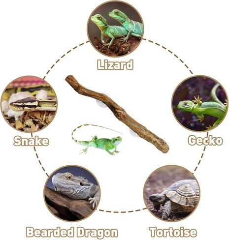 Reptile Decor Natural Forest Branch Terrarium Climb Corner Tree Branch Background Decoration Plant Decoration with Suction Cup for Snake Lizard and Leopard Gecko in Kuwait