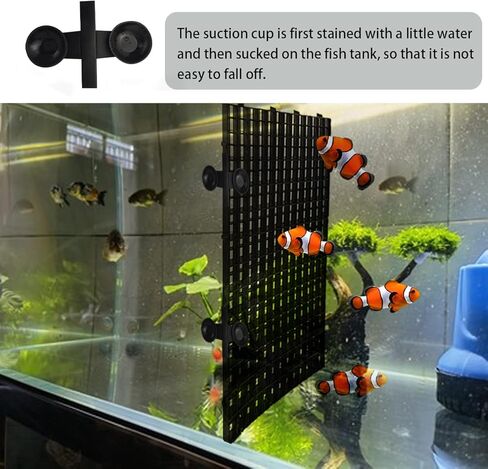 هوينكسوان 3 قطع صينية تقسيم حوض السمك مع 3 مشابك شفط 12 × 12 انش شبكة عزل حوض السمك البلاستيكية لقفص البيض موزع ضوء حوض السمك مقسم سفلي لحوض الاسماك، اسود، قطر الفتحة 0.4 انش in Kuwait