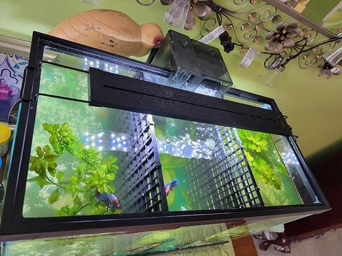 هوينكسوان 3 قطع صينية تقسيم حوض السمك مع 3 مشابك شفط 12 × 12 انش شبكة عزل حوض السمك البلاستيكية لقفص البيض موزع ضوء حوض السمك مقسم سفلي لحوض الاسماك، اسود، قطر الفتحة 0.4 انش in Kuwait