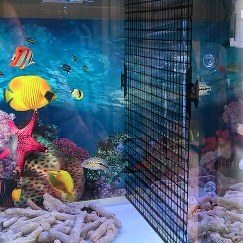 RONYOUNG 4PCS Aquarium Divider Tray with 8PCS Sucker Plastic Grid Aquarium Egg Crate Light Diffuser, Fish Tank Divider Filter Bottom Isolation in Saudi Arabia