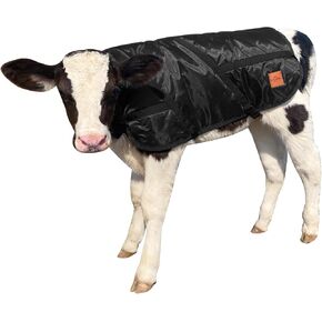 سترات بطانية العجل معطف التوقف لفصل الشتاء مقاوم للماء الماشية العجول البطانيات الدافئة in Kuwait