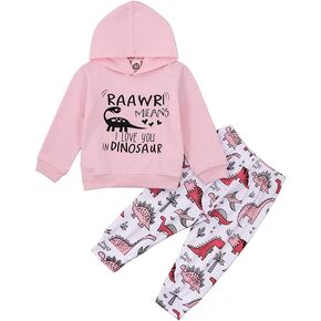 BOUTIKOME Toddler Baby Girls Clothes Sets Little Girl Dinosaur Long Sleeve Shirts Tops + Pants 2pcs Fall Winter Outfits in Kuwait