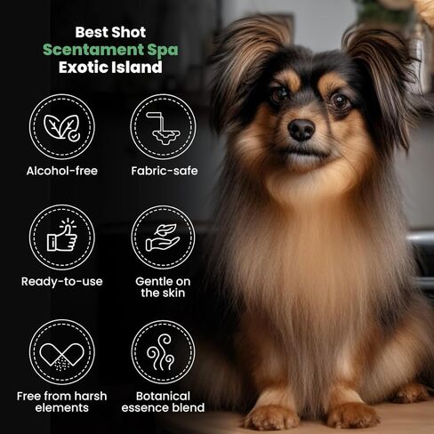 Best Shot Scentament Spa Botanical Body Splash, Detangler Spray, Body Spray for Pets, Cat and Dog Cologne Spray, Lemon Vanilla, 8 Oz. in Kuwait