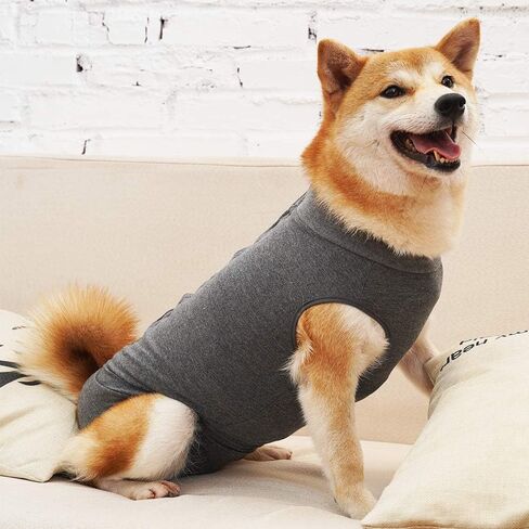 Dog Recovery Suit Abdominal Wound Puppy Surgical Clothes Post-Operative Vest Pet After Surgery Wear Substitute E-Collar & Cone (M, Grey) in Saudi Arabia