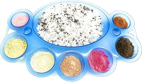 طبق/صينية/وعاء طعام سلطعون من البلاستيك - 8 مساحات تخزين - مجموعة من 8 قطع - ازرق وارجواني وبينك وشفاف وابيض واصفر in Kuwait