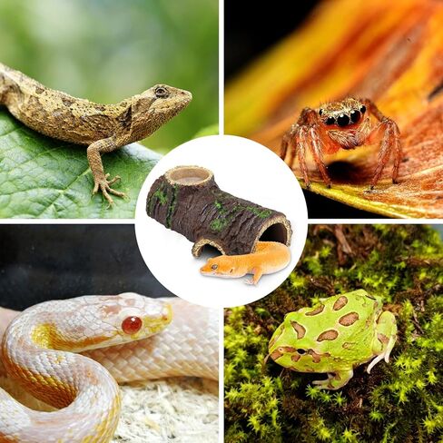 NANEEZOO الزواحف إخفاء الكهف الراتنج اللحاء مخبأ الزواحف الكهف مع حوض المياه الزواحف المأوى كهف النوم للتنين الملتحي السحالي الثعابين ليوبارد أبو بريص (الحديثة) in Kuwait