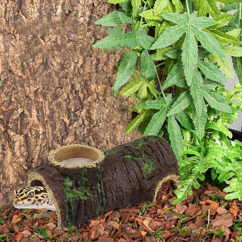 NANEEZOO الزواحف إخفاء الكهف الراتنج اللحاء مخبأ الزواحف الكهف مع حوض المياه الزواحف المأوى كهف النوم للتنين الملتحي السحالي الثعابين ليوبارد أبو بريص (الحديثة) in Kuwait