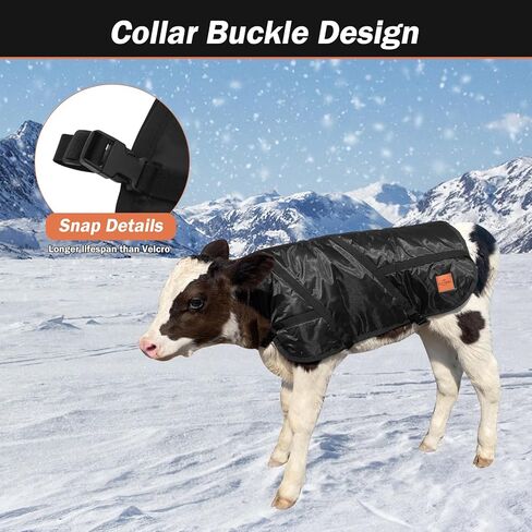 سترات بطانية العجل معطف التوقف لفصل الشتاء مقاوم للماء الماشية العجول البطانيات الدافئة in Kuwait