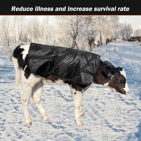 سترات بطانية العجل معطف التوقف لفصل الشتاء مقاوم للماء الماشية العجول البطانيات الدافئة in Kuwait