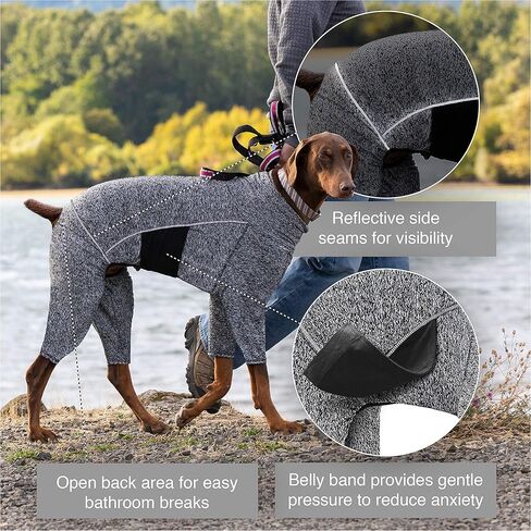 Kurgo Stowe Base Layer for Dogs, Dog Onesie Body Warmer, Bodysuit for Dogs, Recovery Suit, Reduce Anxiety, Contains Shedding, Leash Opening, Reflective, Heather Black (X-Small) in Kuwait