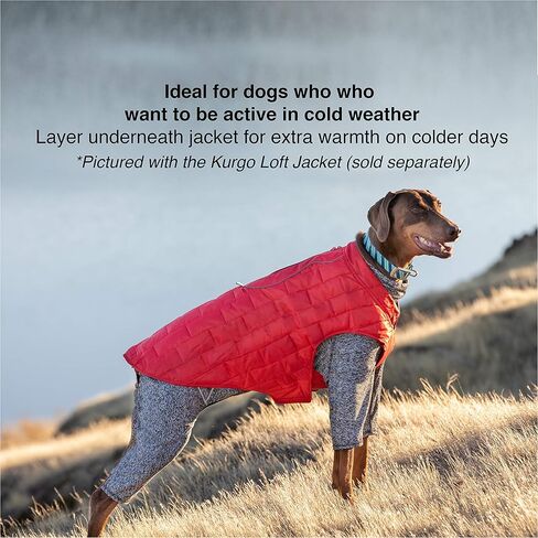 Kurgo Stowe Base Layer for Dogs, Dog Onesie Body Warmer, Bodysuit for Dogs, Recovery Suit, Reduce Anxiety, Contains Shedding, Leash Opening, Reflective, Heather Black (X-Small) in Kuwait