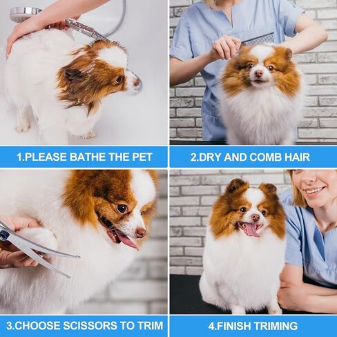 مقص حلاقة للكلاب، مقص حلاقة ليرين للكلاب مع أطراف مستديرة للأمان، مجموعة مقصات حلاقة احترافية 4 في 1، مقصات حلاقة حادة ومتينة للكلاب والقطط in Kuwait