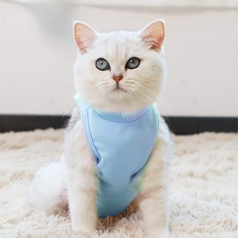 TORJOY Kitten Onesies، بدلة تعافي القطط لجروح البطن أو أمراض الجلد، بعد الجراحة، ارتداء مضاد لعق الجروح، بديل طوق إلكتروني مسامي للقطط باللون الأرجواني M in Kuwait
