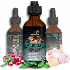 Natural Dog Antibiotics - Dog Ear Infection Treatment - Cat Antibiotic - Dog UTI Treatment - Yeast Infection Treatment for Dogs - Broad Immune Support - by XanderPets USA 1200 Drops in Saudi Arabia