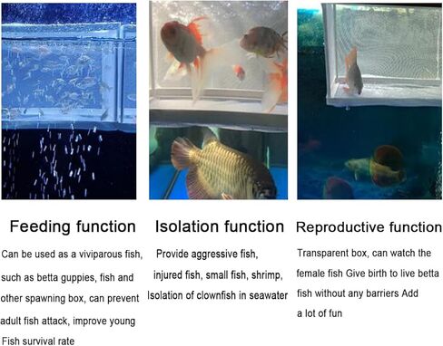 صندوق شبكي لتربية الاسماك من قطعتين، صندوق عزل لحوض الاسماك، فاصل اسماك الاطفال لحوض السمك (L+S) in Kuwait