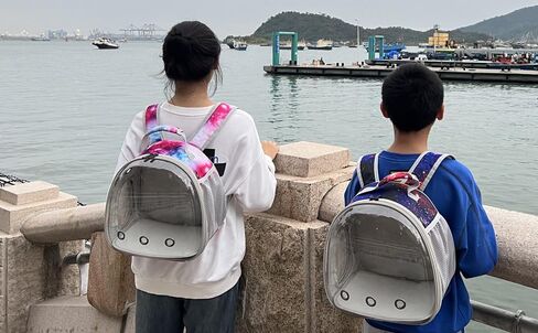 Bunny Carrier Backpack with Space Capsule Clear Bubble Window - Portable Small Animal Backpack Travel Pet Carrier Galaxy for Guinea Pig Rabbit Bearded Dragon Rat Lizard Hamster (Galaxy Pink) in Kuwait