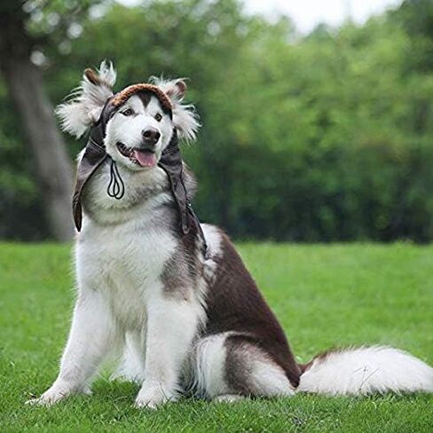 Leconpet Dog Aviator Hat, Dog Winter Pilot Hat with Ear Flaps for Cold Weather (M, Black) in Kuwait