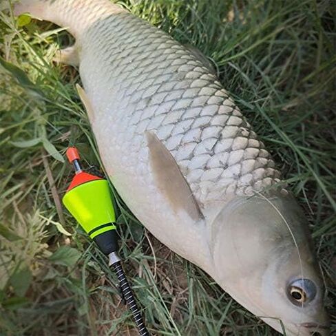 FreeLeben Fishing Bobbers, Stainless Steel Elastic Fishing Floats 7.86 x 1.38 x 1.38in / 0.51oz in Saudi Arabia