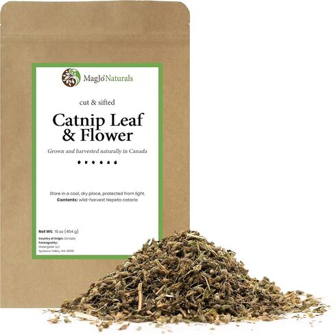 MagJo Naturals Farm Direct Catnip | Freshest Available | Bulk Bag (Half Pound) in Saudi Arabia