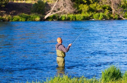 The Fly Fishing Place Tungsten Bead Jigged Pat's أرجل مطاطية Nymph Fly ذباب صيد - بني مع أرجل زيتون - سمك السلمون المرقط والباس نمط الذبابة الرطبة - 6 خطاف ذباب مقاس 10 in Saudi Arabia
