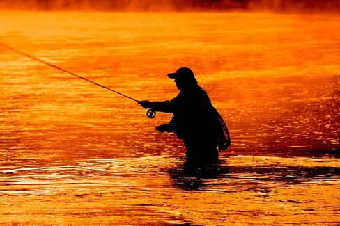The Fly Fishing Place Tungsten Bead Jigged Pat's أرجل مطاطية Nymph Fly ذباب صيد - بني مع أرجل زيتون - سمك السلمون المرقط والباس نمط الذبابة الرطبة - 6 خطاف ذباب مقاس 10 in Saudi Arabia