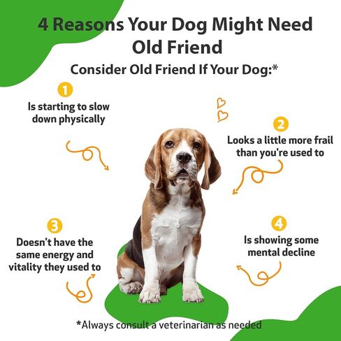 Pet Wellbeing Old Friend for Senior Dogs - Supports Immune System Health, Joint Mobility, Healthy Energy Levels, Alfalfa, Reishi - Veterinarian-Formulated Herbal Supplement 2 oz (59 ml) in Saudi Arabia