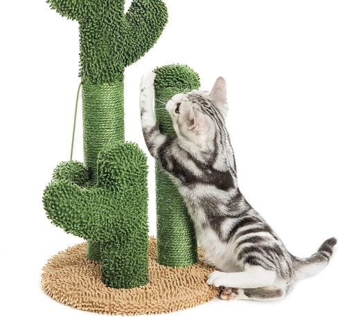 Pesofer Cactus Cat Scratching Post Cat Scratcher with 3 Scratching Poles and Dangling Ball for Kitten Medium in Kuwait
