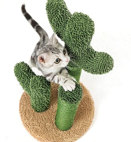 Pesofer Cactus Cat Scratching Post Cat Scratcher with 3 Scratching Poles and Dangling Ball for Kitten Medium in Kuwait