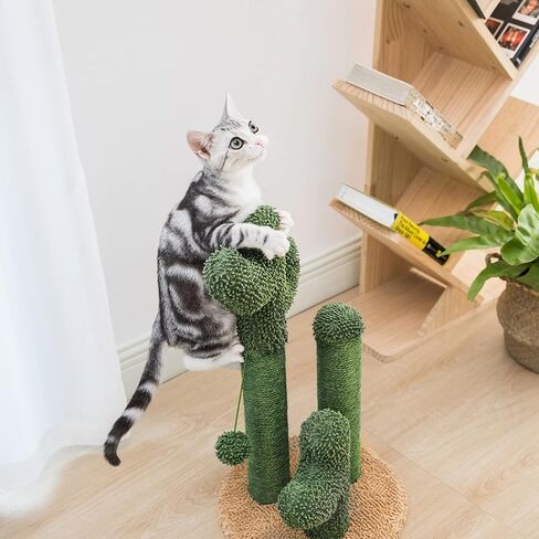 Pesofer Cactus Cat Scratching Post Cat Scratcher with 3 Scratching Poles and Dangling Ball for Kitten Medium in Kuwait