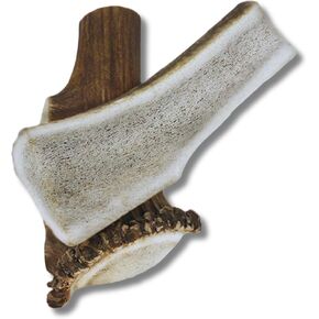 WhiteTail Naturals Split Elk Antlers for Small to Medium Dogs, 3 Pack in Kuwait