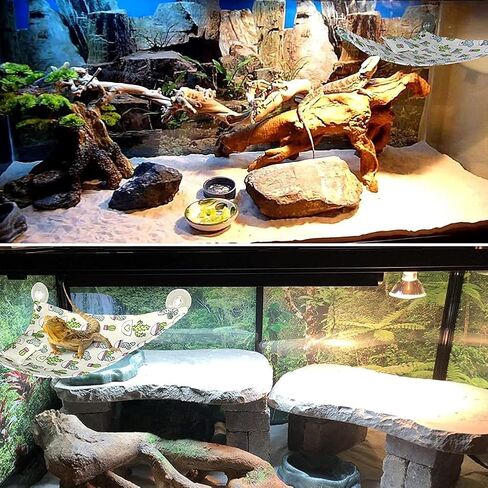 SETHOUS Reptile Bearded Dragon Hammock Swing Hanging Pet Bed Lounger Ladder Hammock with Pillow Hooks and Suction for Lizard Leopard Gecko in Kuwait