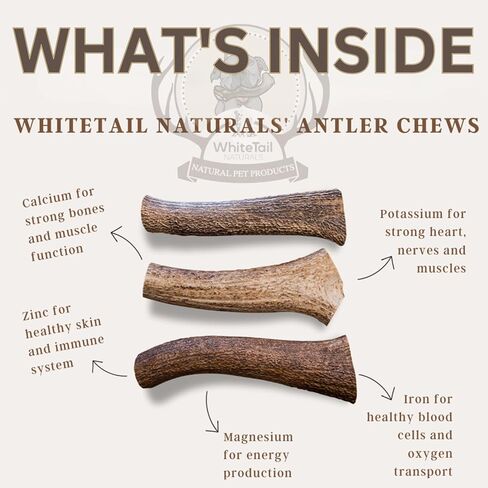 WhiteTail Naturals - قرون الأيائل المتميزة للكلاب - (3 عبوات صغيرة) - طبيعية بالكامل، عظام مضغ للكلاب - تتساقط بشكل طبيعي، لم يتم الإساءة إلى الحيوانات في تصنيعها، مضغ قرن الوعل in Kuwait