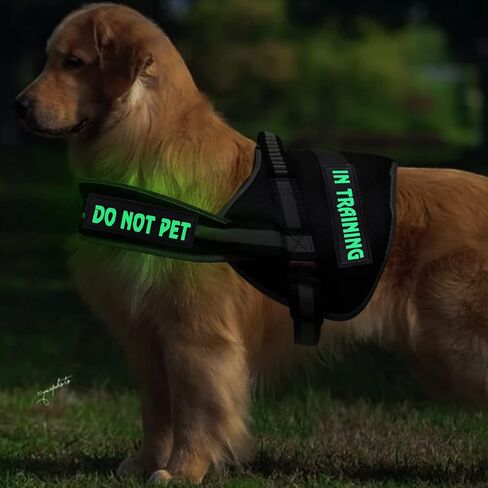 4 Pcs DO NOT PET Dog Harness Patches with Hook Backing, in Training Patch Tactical Dog in Training Harness, Reflective and Removable Tags (6.2 X 1.9) Inch in Kuwait
