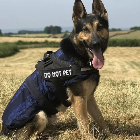 4 Pcs DO NOT PET Dog Harness Patches with Hook Backing, in Training Patch Tactical Dog in Training Harness, Reflective and Removable Tags (6.2 X 1.9) Inch in Kuwait