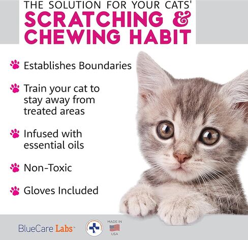 Cat Deterrent Spray with Rosemary Oil, Lemongrass & Cinnamon to Stop Cat Scratching Furniture, Plants, Floors and More - Non-Toxic - Made in USA in Kuwait