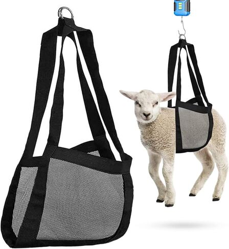 حبال خروف لوزن الحيوانات، حبال ميزان وزن معلق على شكل ربلة الساق، مقياس تعليق مساعد على حبال وزن خروف الماشية حديثي الولادة من الألبكة in Kuwait