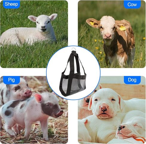 حبال خروف لوزن الحيوانات، حبال ميزان وزن معلق على شكل ربلة الساق، مقياس تعليق مساعد على حبال وزن خروف الماشية حديثي الولادة من الألبكة in Kuwait