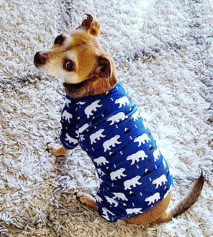 بيجامة Enipoly للكلاب الصغيرة من سلالة الكلاب الناعمة Pjs Onesie Cat بذلة مريحة للحيوانات الأليفة، قلادة صغيرة باللون الأسود in Saudi Arabia